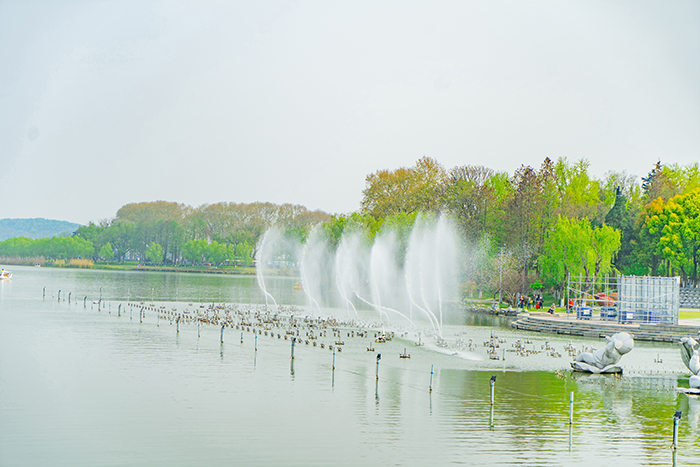 喷泉水景